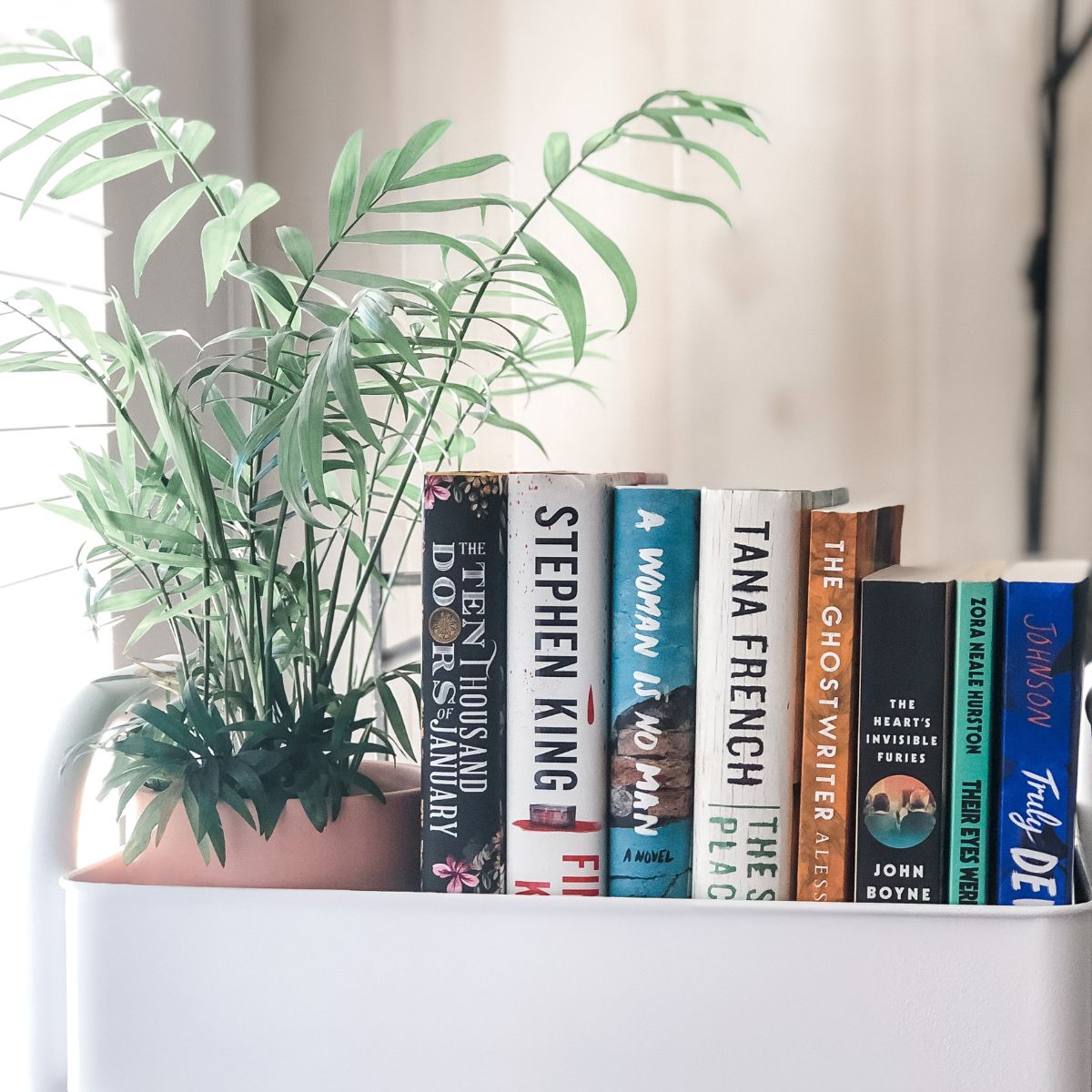 white book cart with books and a plant on top