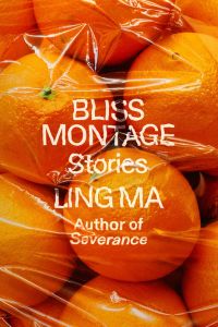 Bliss Montage book cover