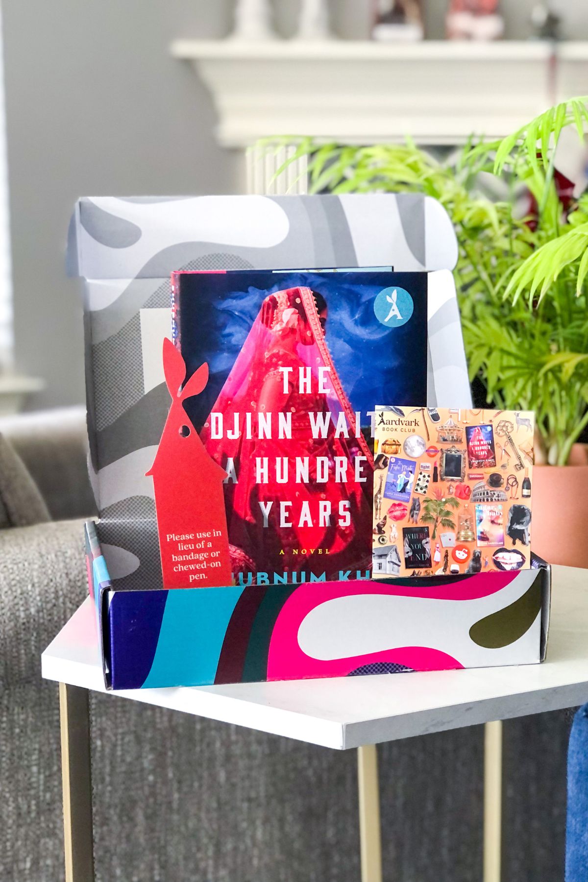 colorful Aardvark Book Club box with a hardcover book and bookmark inside next to a houseplant